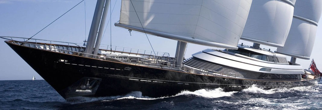 Maltese Falcon
